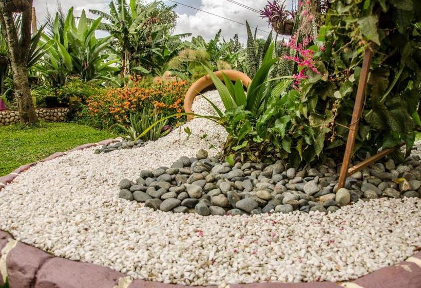 تختخواب و صبحانه Sheevys Bed N Breakfast