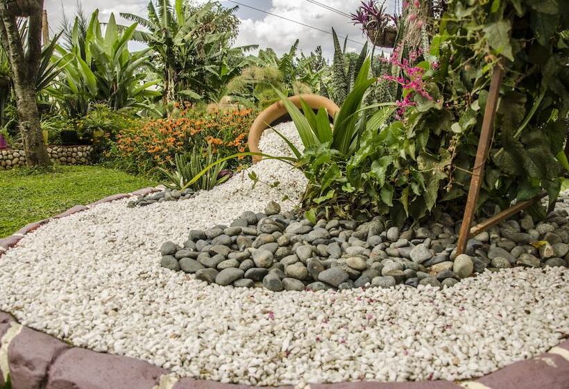 تختخواب و صبحانه Sheevys Bed N Breakfast