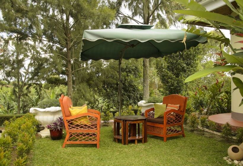 تختخواب و صبحانه Sheevys Bed N Breakfast