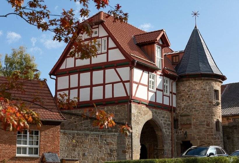 فندق Brunnenhaus Schloss Landau