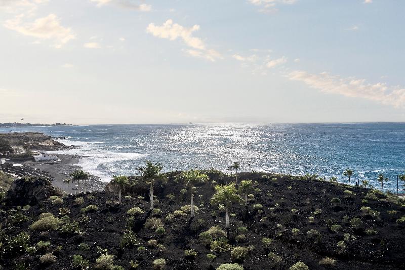 ホテル Royal Hideaway Corales Beach   Adults Only