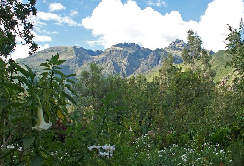 فندق Willka T'ika