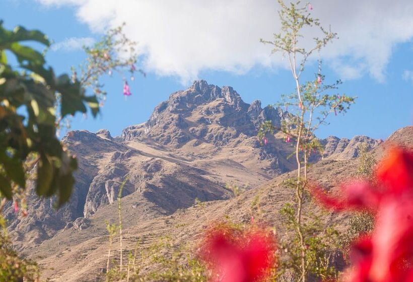 فندق Willka T'ika