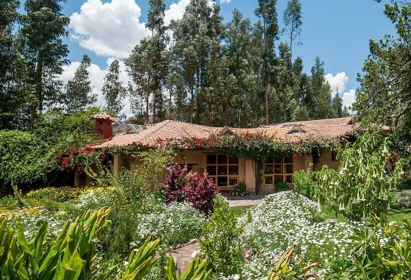 فندق Willka T'ika