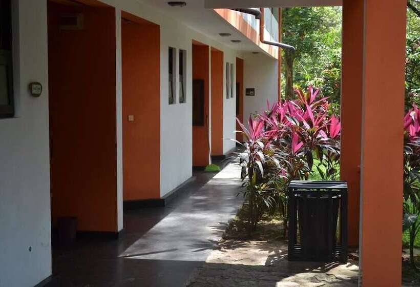 Отель Wood Side Tour Inn