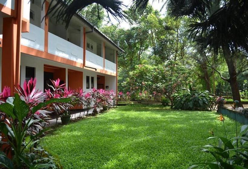 Отель Wood Side Tour Inn