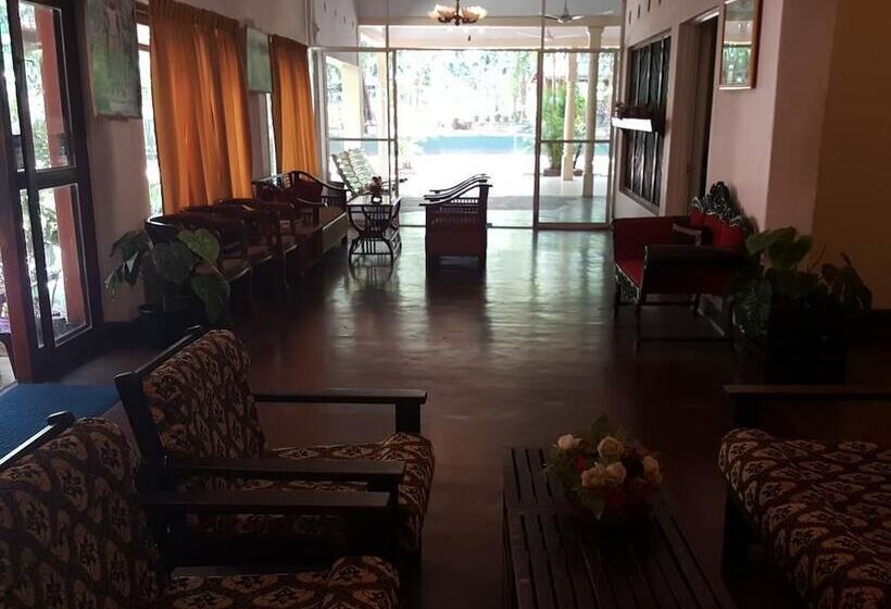 Отель Wood Side Tour Inn