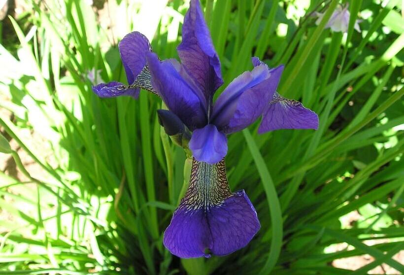 مُتل Ratanui Villas