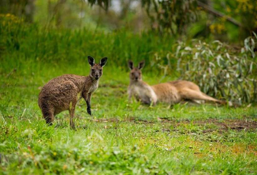 モーテル The Stirling Golf Club