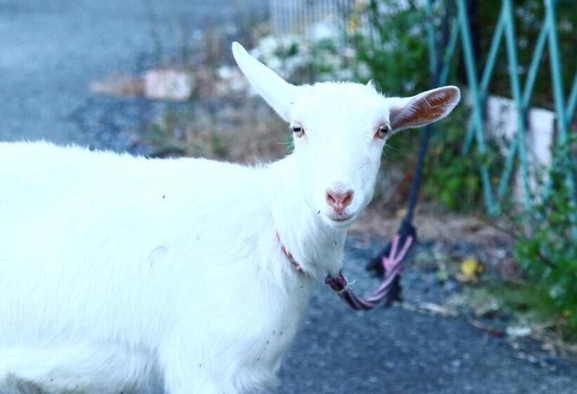 日式旅馆 Hanayukaku