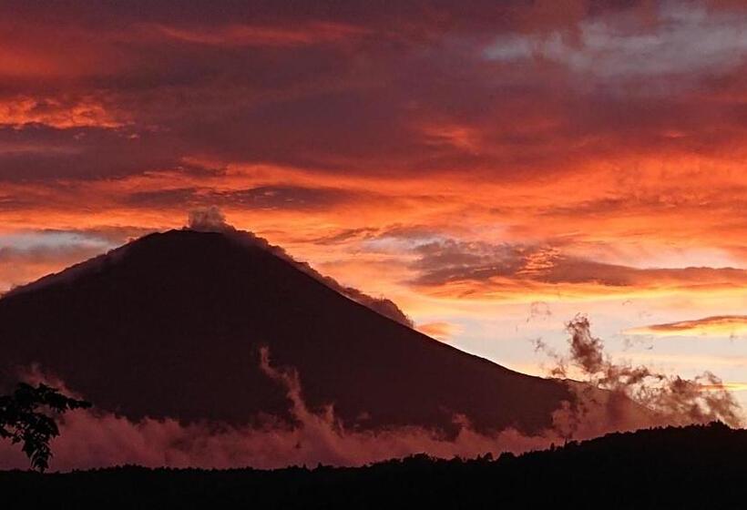 ريوكان Rokumeikan Hills