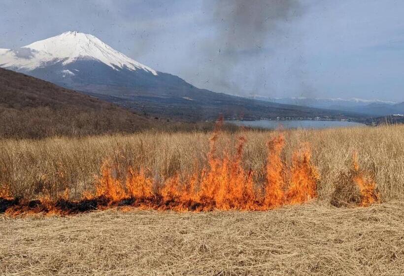 ريوكان Rokumeikan Hills