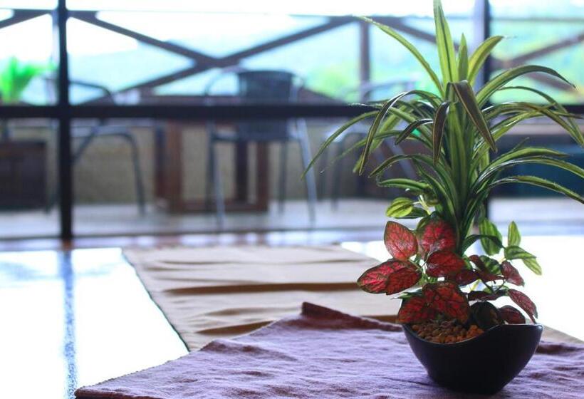 ريوكان Rokumeikan Hills