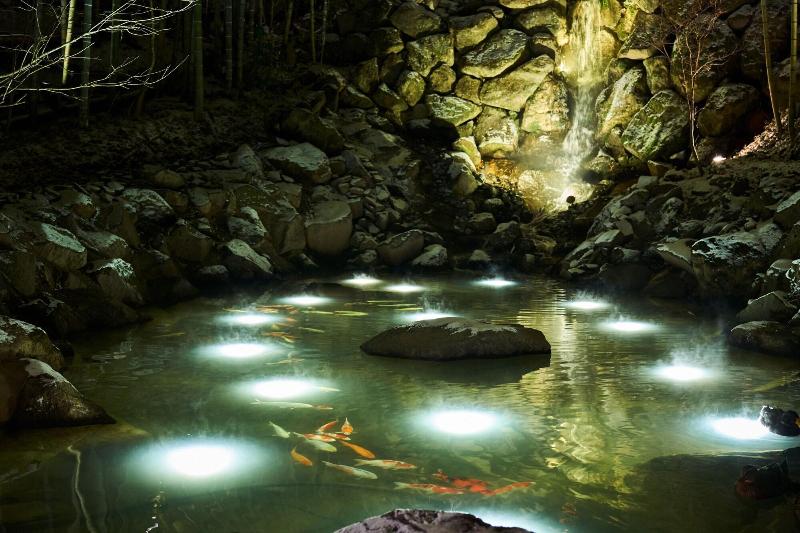 ريوكان Hikyou Shirakawagensen Sansou Takefue