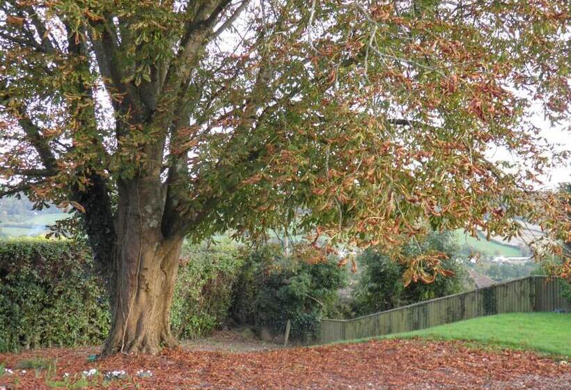 Sidmouth Bed & Breakfast