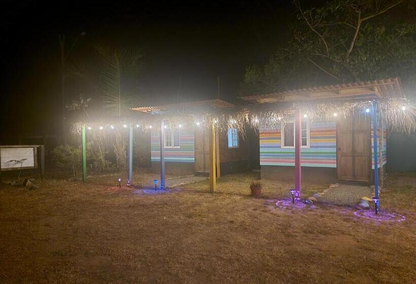 Общежитие Johnny Fiestas