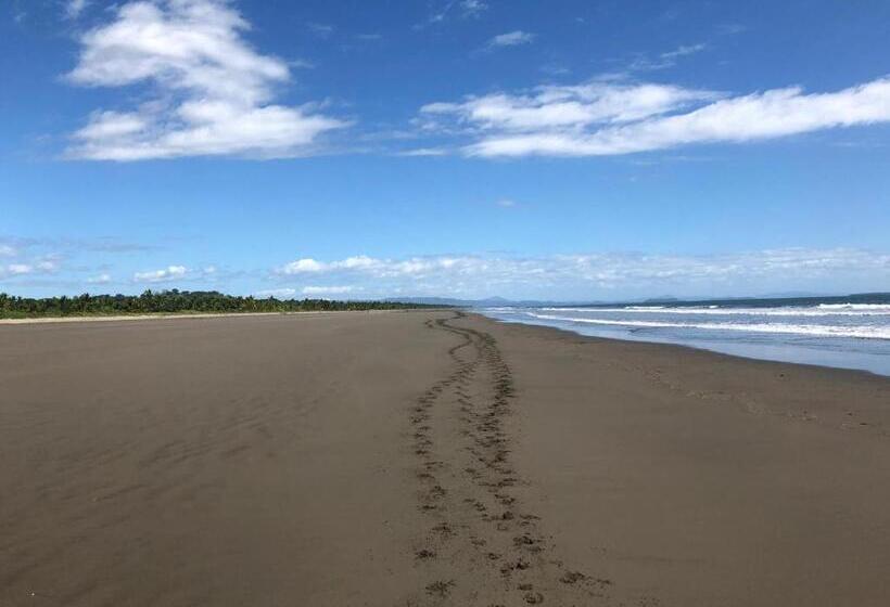 Общежитие Johnny Fiestas