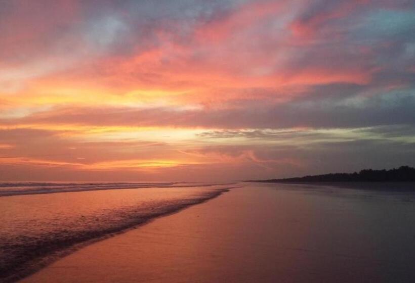 Общежитие Johnny Fiestas