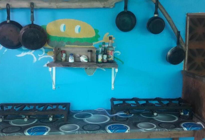 Общежитие Johnny Fiestas