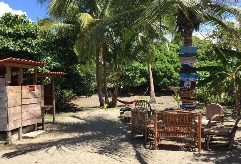 Общежитие Johnny Fiestas