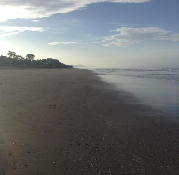 Общежитие Johnny Fiestas