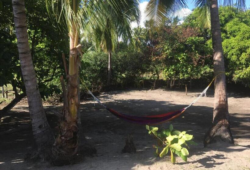 Общежитие Johnny Fiestas