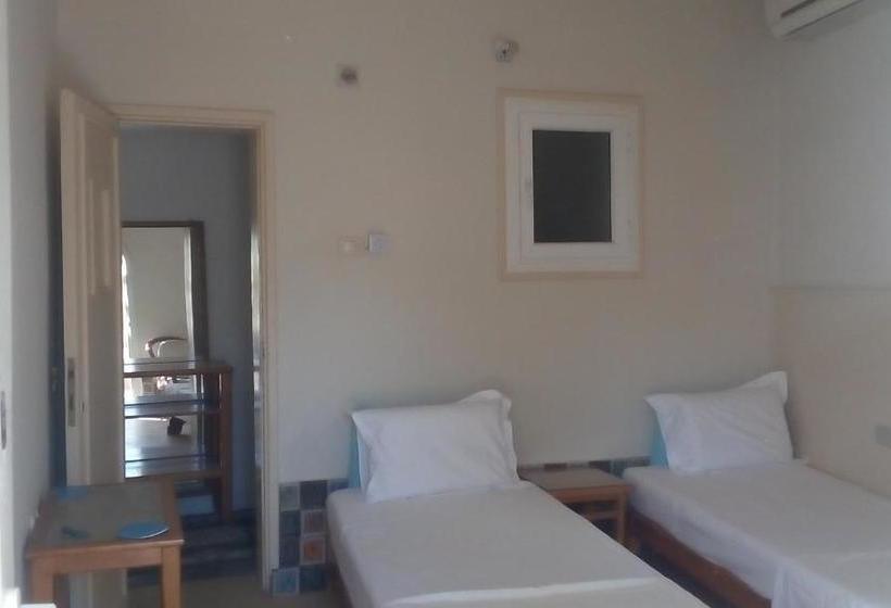 هاستل Tarbouche House Dahab