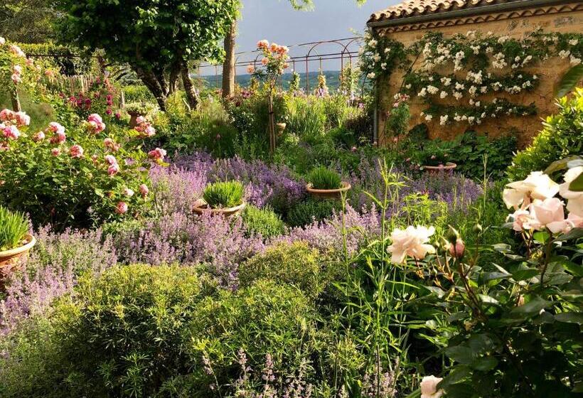 Bed and Breakfast 1 Logis A Domme  Piscine & Spa