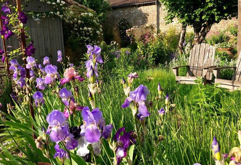 Bed and Breakfast 1 Logis A Domme  Piscine & Spa