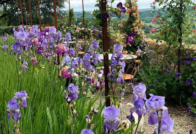 Bed and Breakfast 1 Logis A Domme  Piscine & Spa