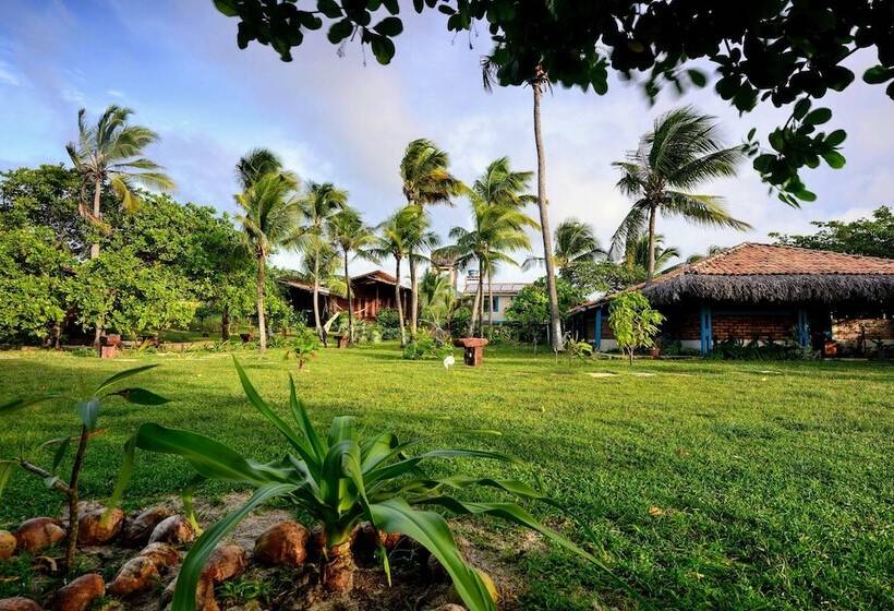 مبيت وإفطار Convento Arcádia