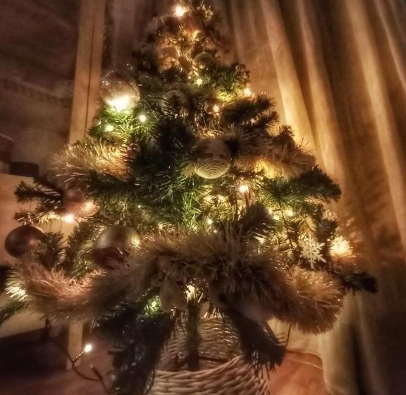 تختخواب و صبحانه De  Montetini