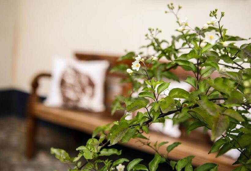 ベッドアンドブレックファースト Het Hemelsveld