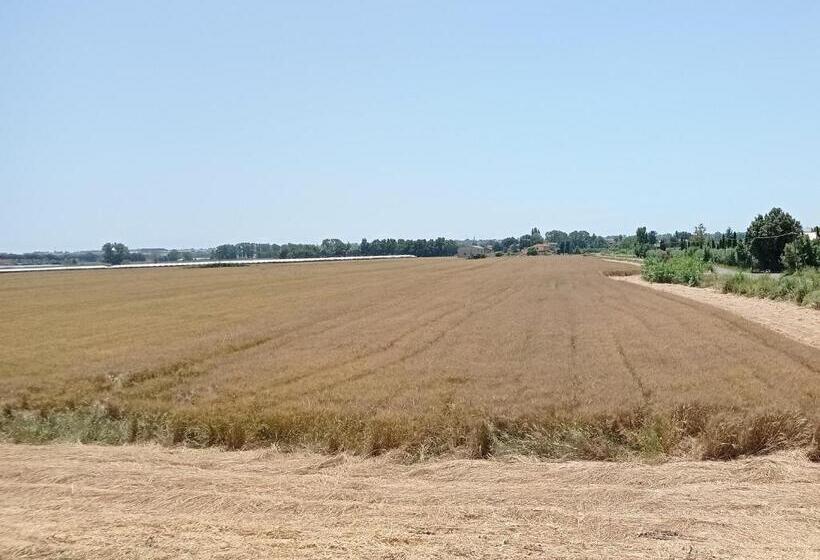 مبيت وإفطار Il Casale Di Giulia Di Aprilia