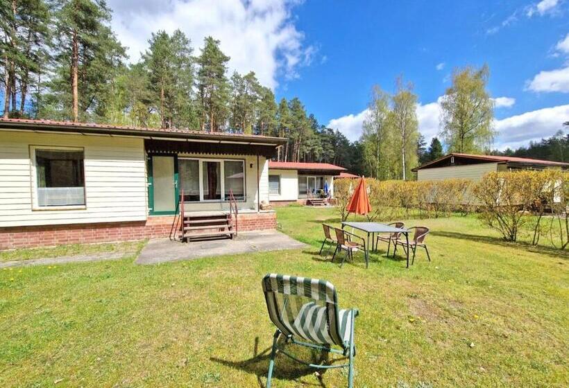 Ferienhaeuser Lychen Uck 550