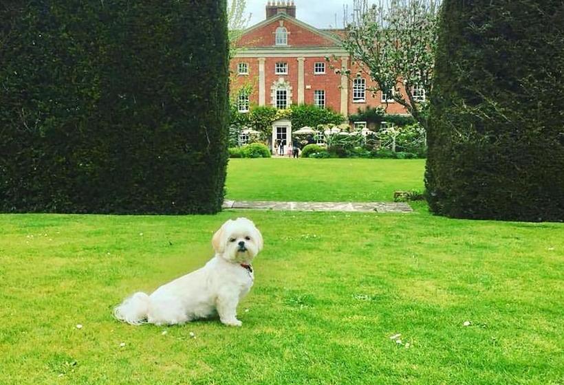 فندق 10 Castle Street