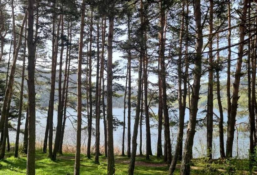 호텔 Abant Dort Mevsi̇m Konaği Hostel