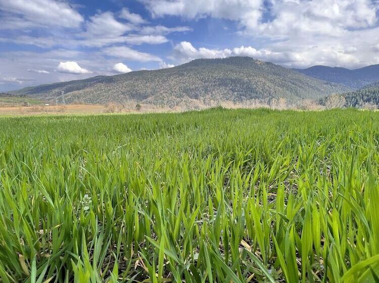 호텔 Abant Dort Mevsi̇m Konaği Hostel