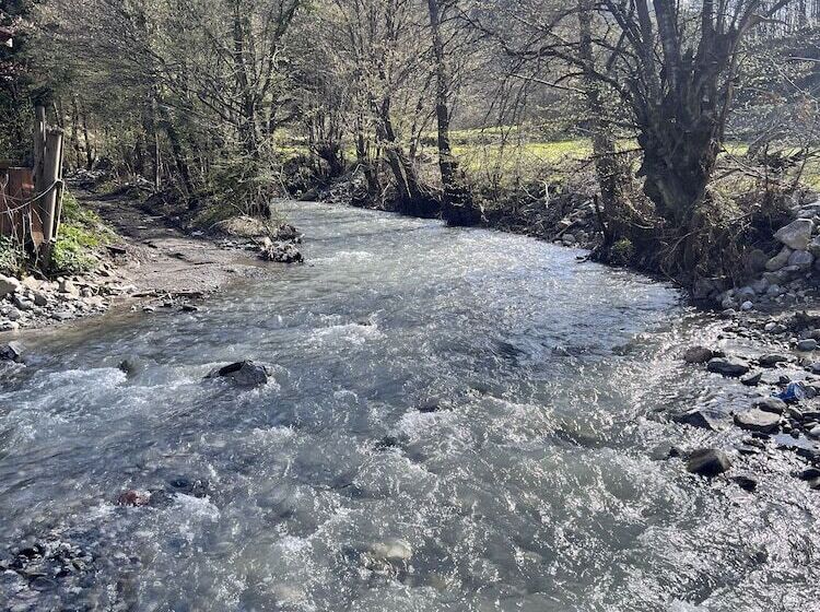 호텔 Abant Dort Mevsi̇m Konaği Hostel