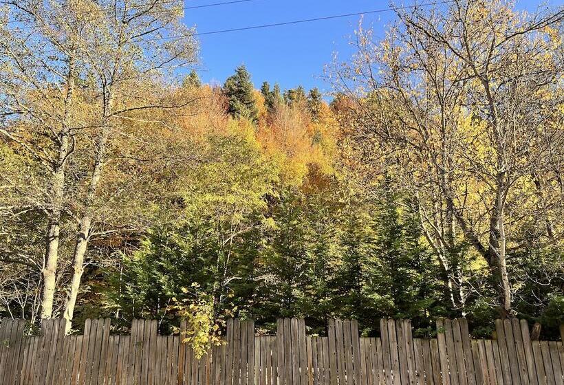 호텔 Abant Dort Mevsi̇m Konaği Hostel