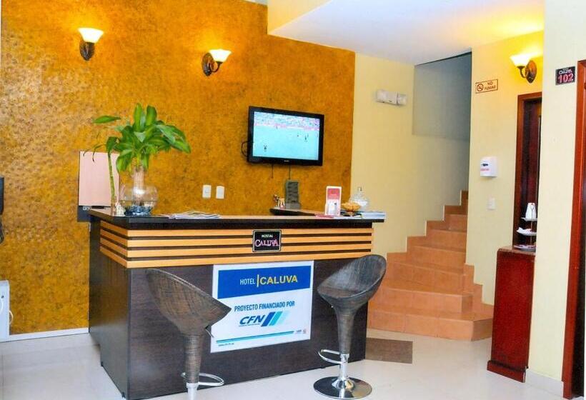 酒店 Caluva