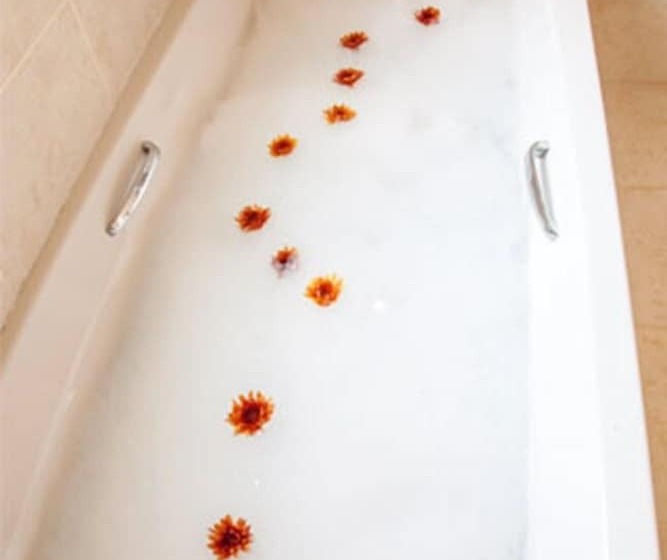 فندق Colesberg Lodge