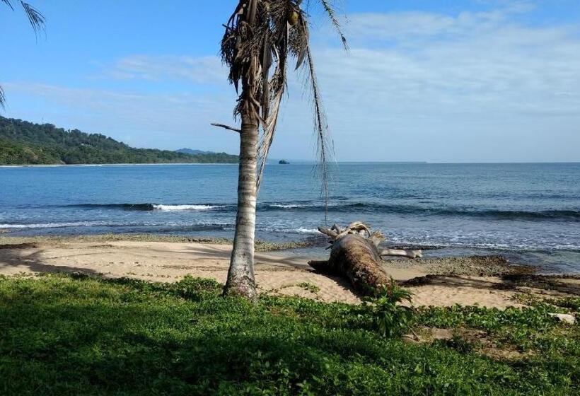 호텔 Jaguar Inn Bungalows