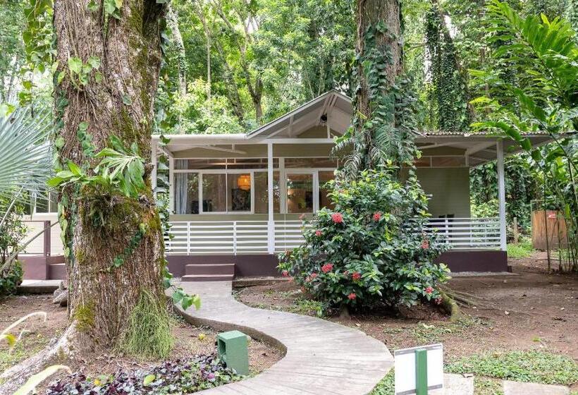 호텔 Jaguar Inn Bungalows