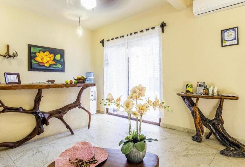 فندق Moon Dreams Villas El Jardin