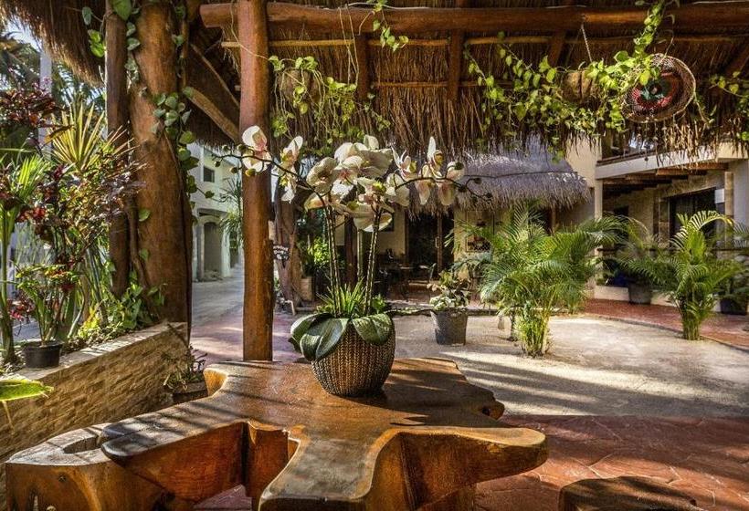 فندق Moon Dreams Villas El Jardin