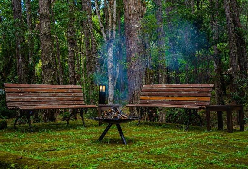 酒店 Pousada Casa Bonita