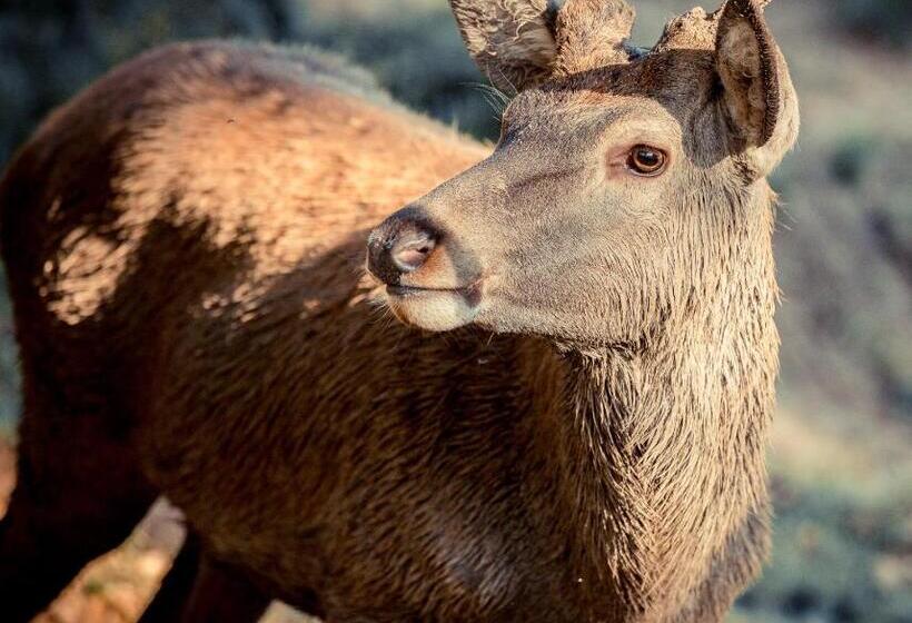 Landhotel Lammershof