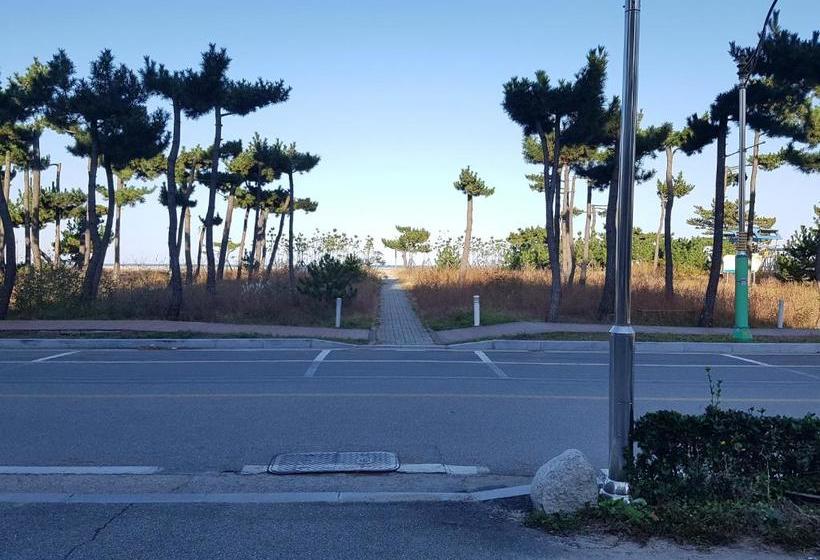 Мотель Pine Beach