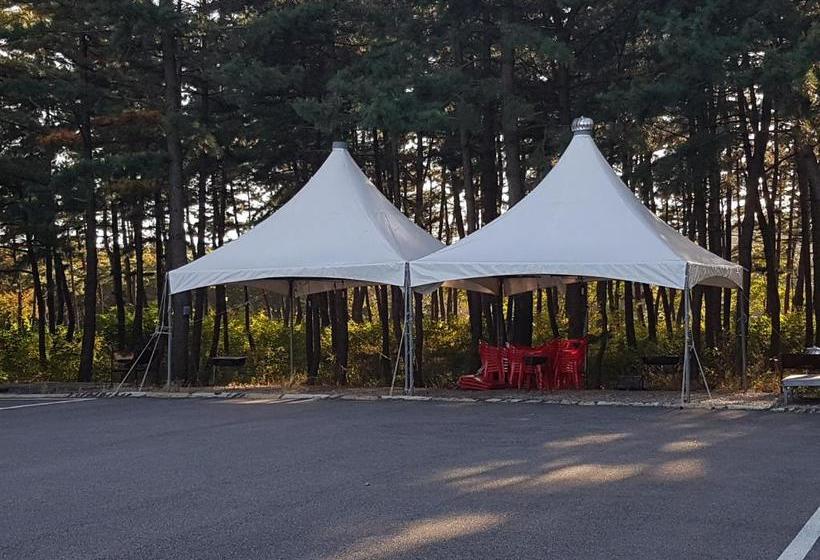 Мотель Pine Beach